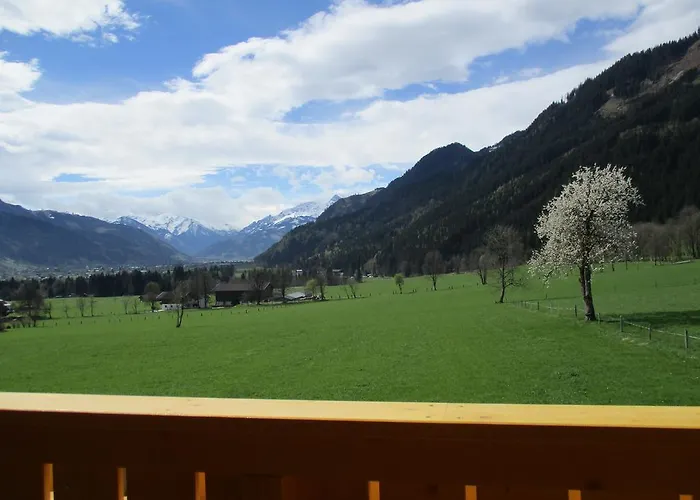 펜션 Penthousewohnung Mit Garten Sauna Pool 마이스호펜