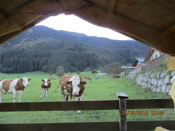 Penthousewohnung Mit Garten Sauna Pool 펜션 *